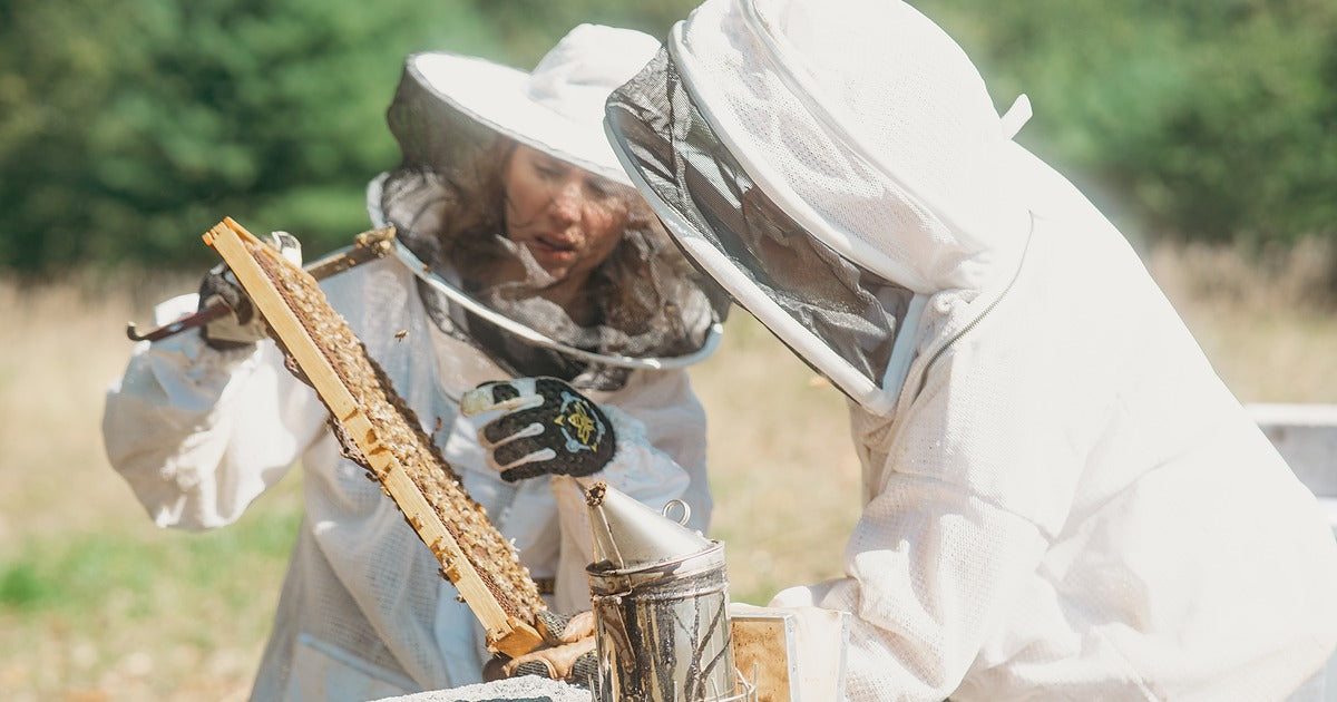 Family in beekeeping suits inspecting honeycomb frames in the DMV